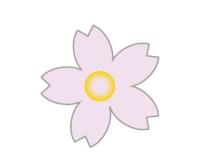 桜の花
