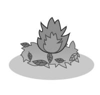 焚火【たき火】