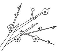 梅の花・枝