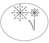 打ち上げ花火(花火大会)