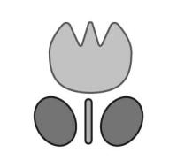 チューリップキャラクター