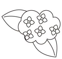 あじさい【紫陽花】
