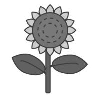 ひまわり