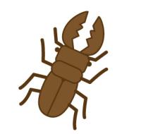 クワガタ虫
