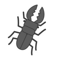 クワガタ虫