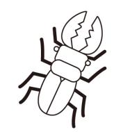 クワガタ虫