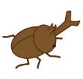 カブトムシ