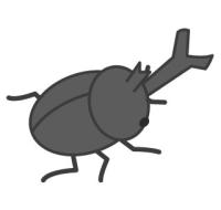 カブトムシ
