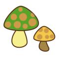 きのこ