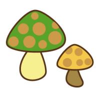 きのこ