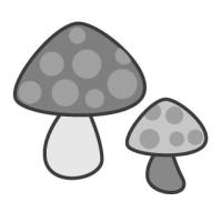 きのこ