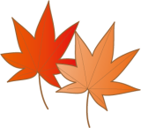 楓（カエデ）・紅葉（モミジ）