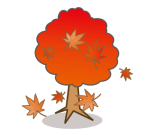楓（カエデ）の木・紅葉（モミジ）